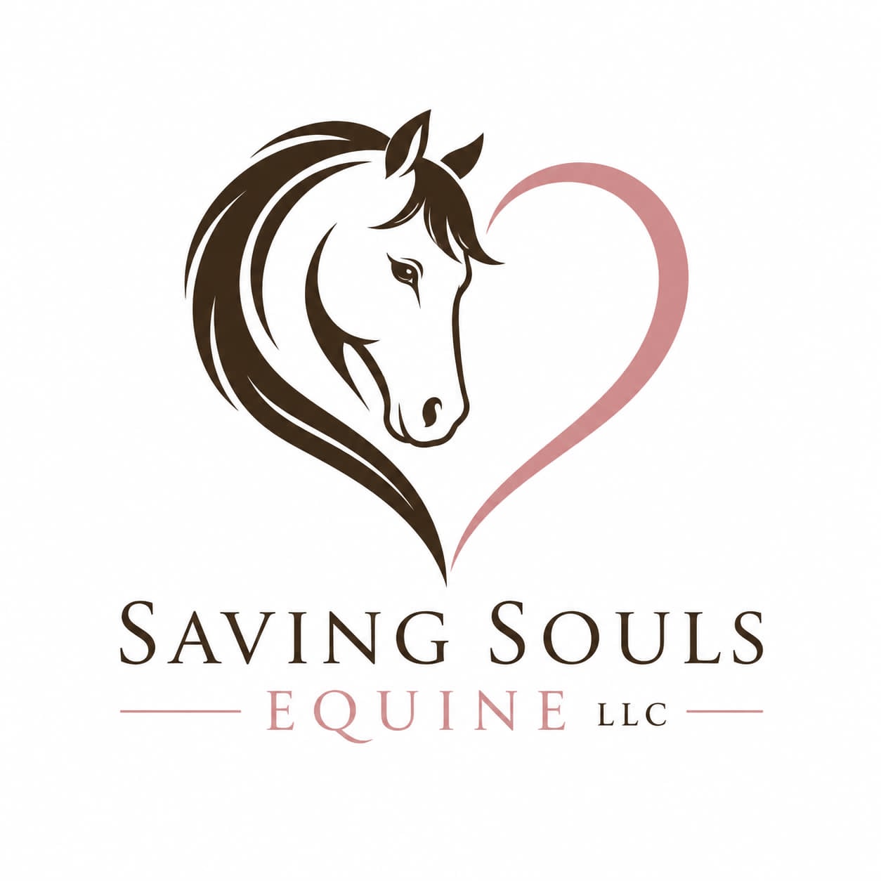 Saving Souls Equine LLC