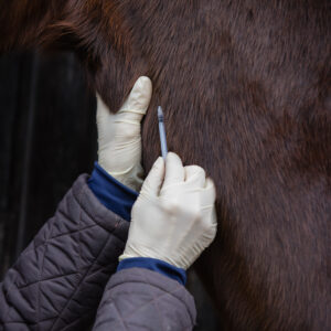 West Nile Vaccine
